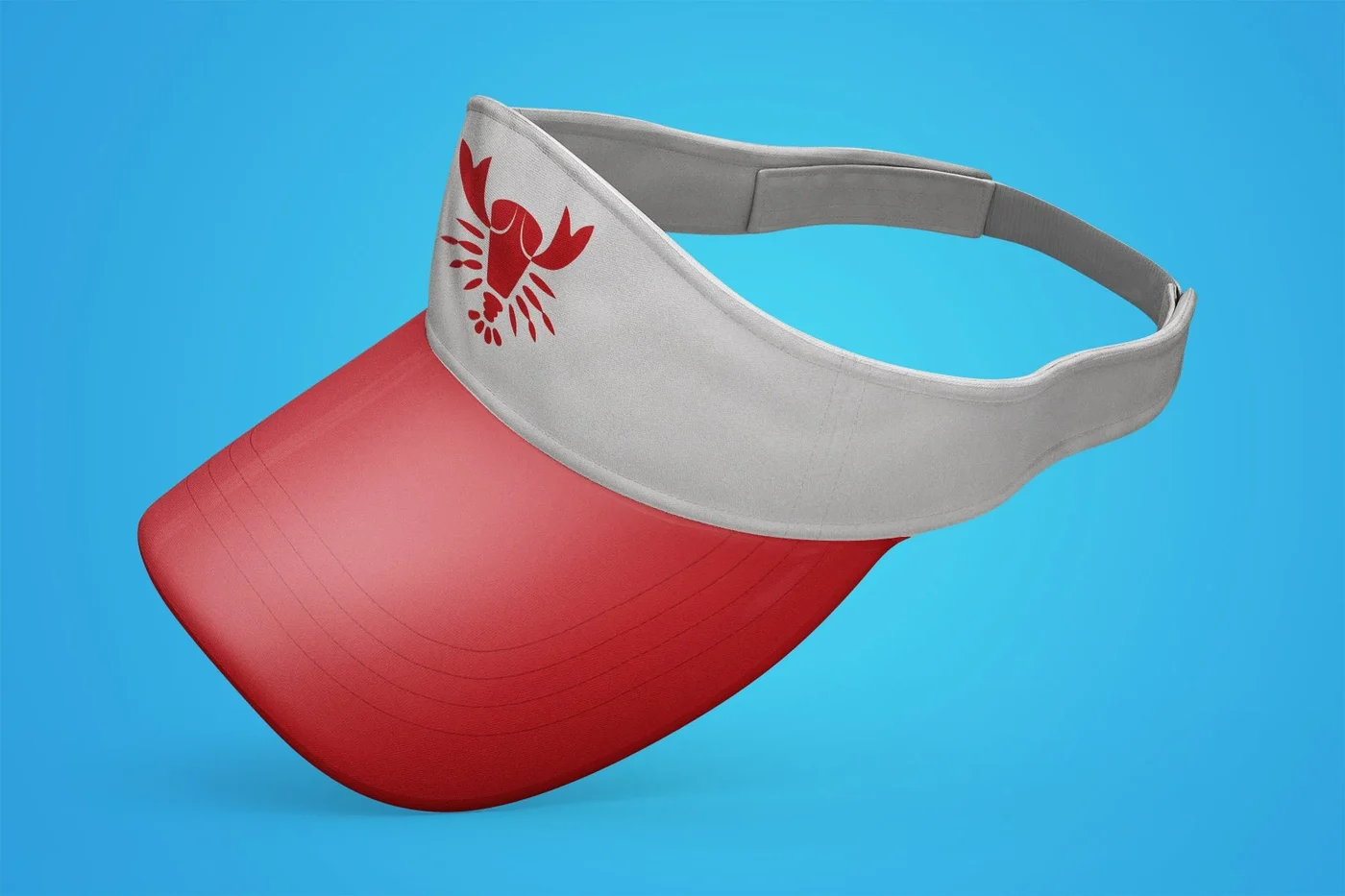 Visor